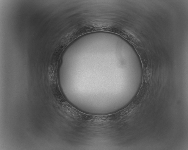 X0000073450917200608181235