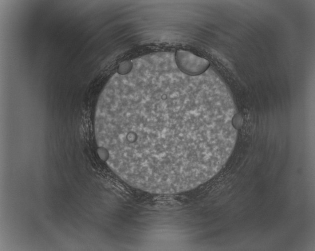 X0000073450918200608181235