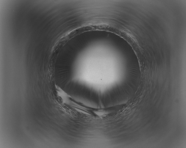 X0000073450920200608181235