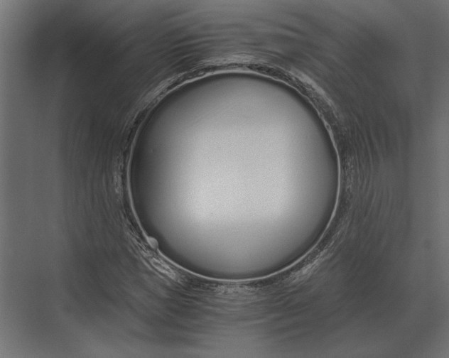 X0000073450921200608181235