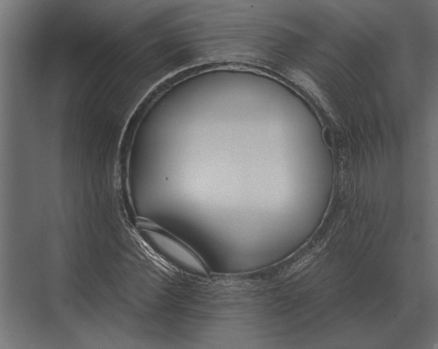 X0000073450924200608181235