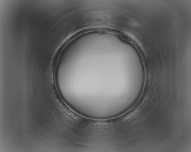 X0000073450925200608181235