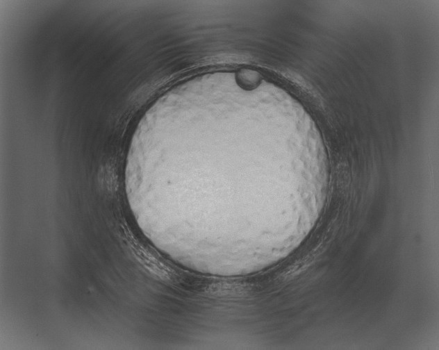 X0000073450929200608181235