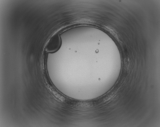 X0000073450931200608181235