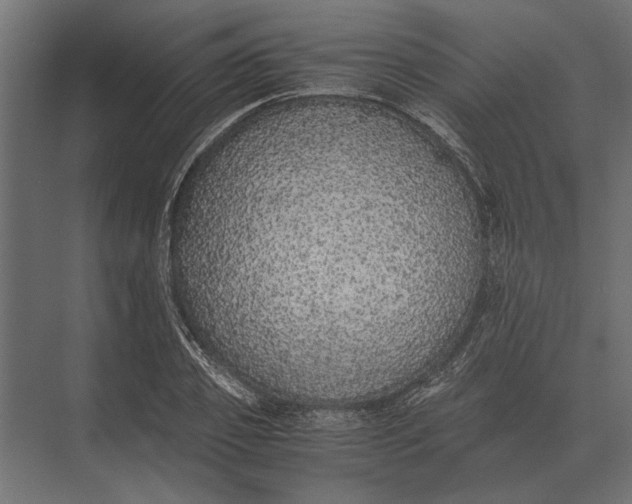 X0000073450933200608181235