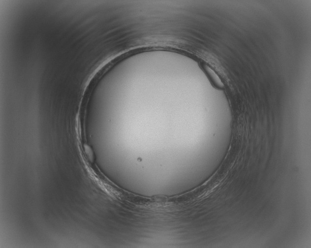 X0000073450936200608181235