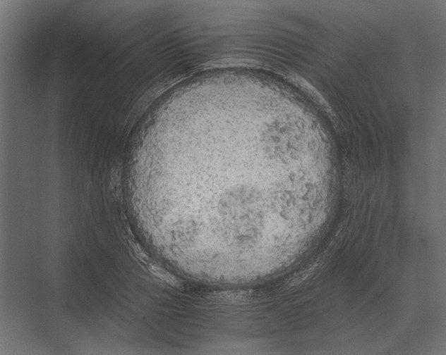 X0000073450937200608181235