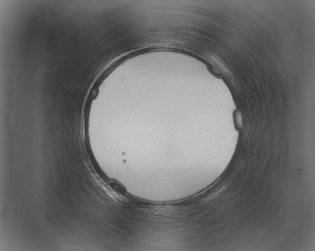 X0000073450940200608181235