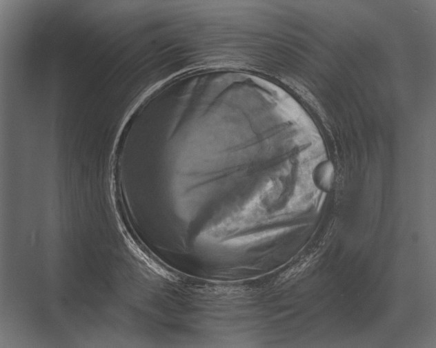 X0000073450941200608181235