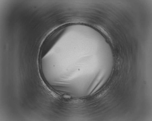 X0000073450943200608181235