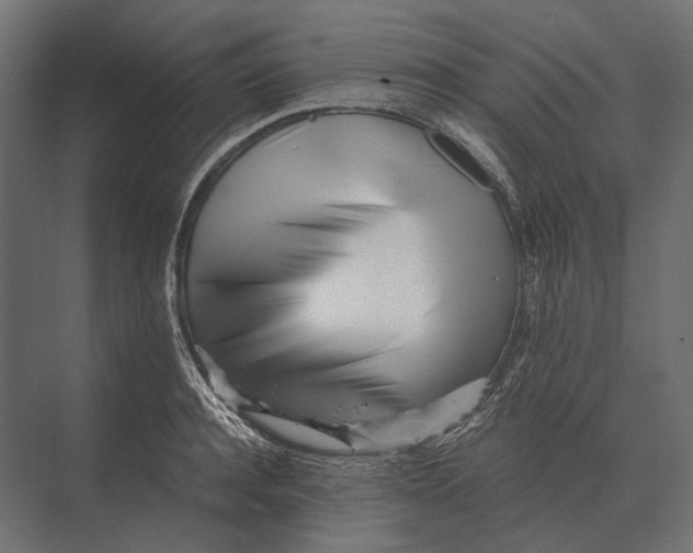 X0000073450944200608181235