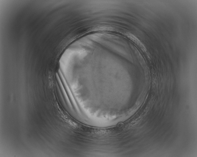 X0000073450945200608181235