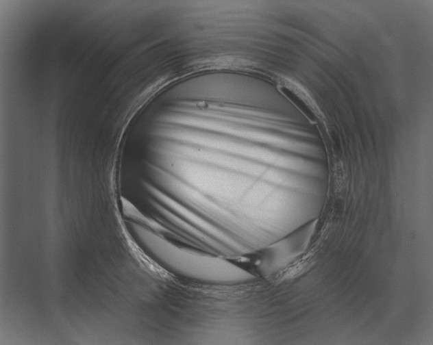 X0000073450946200608181235