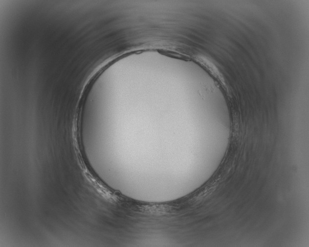 X0000073450952200608181235