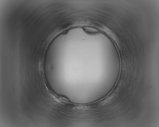 X0000073450953200608181235