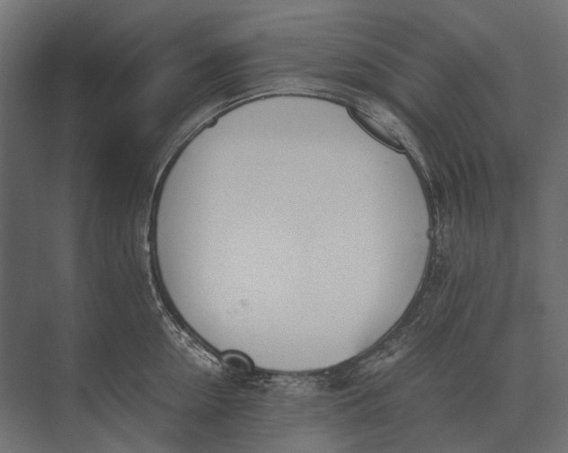 X0000073450954200608181235