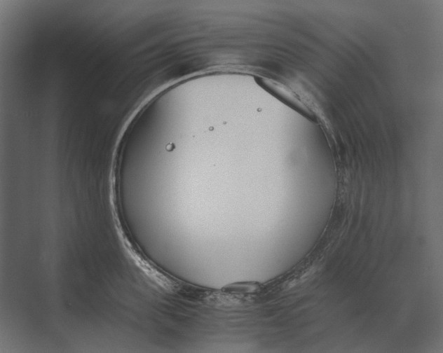 X0000073450955200608181235