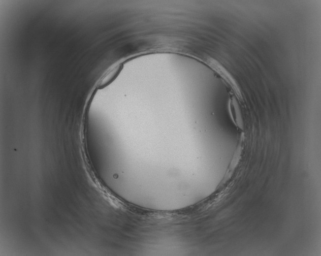 X0000073450956200608181235