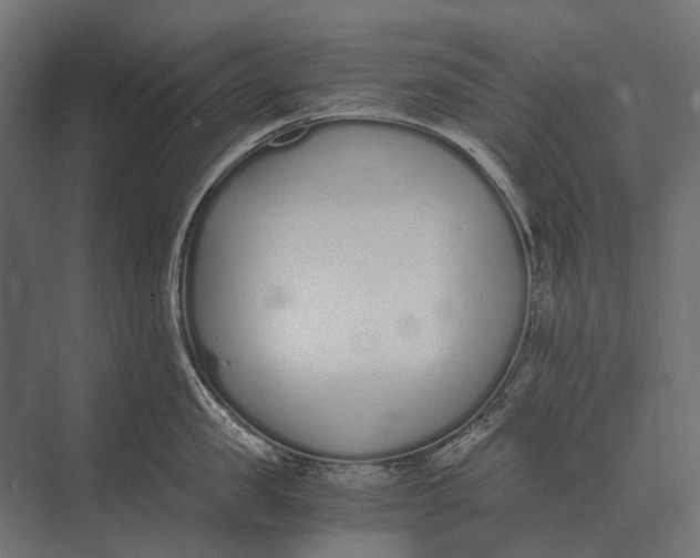 X0000073450957200608181235