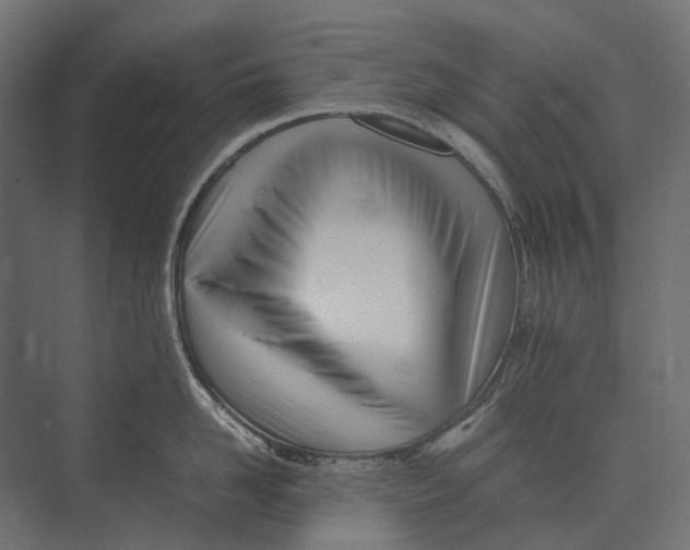 X0000073450958200608181235