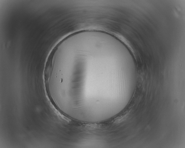 X0000073450959200608181235