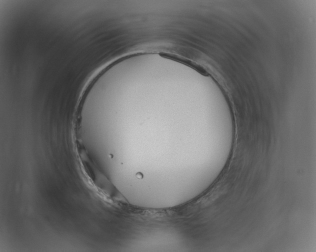 X0000073450960200608181235