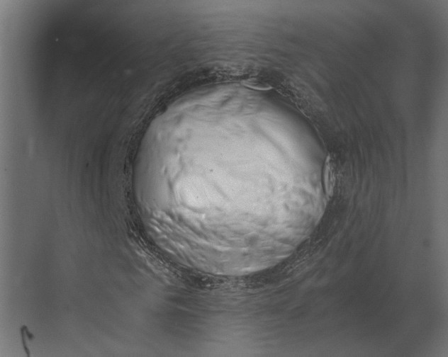 X0000073450961200608181234