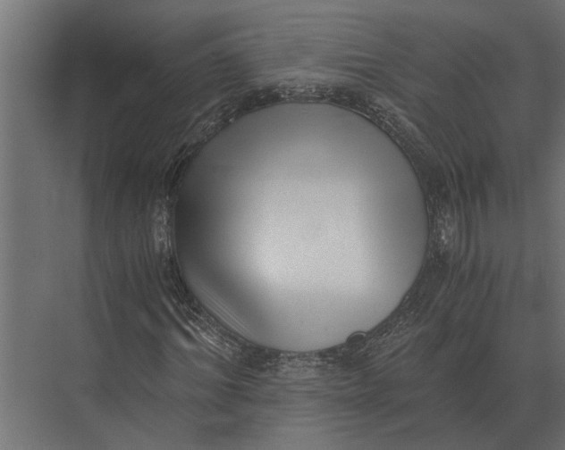 X0000073450964200608181234