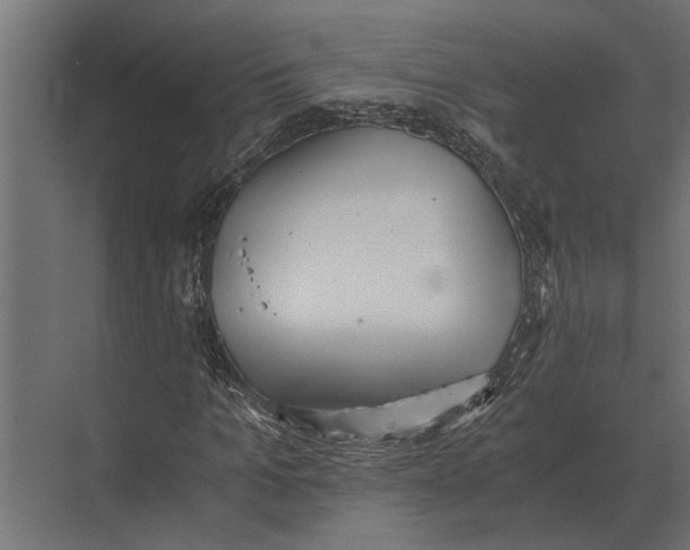 X0000073450965200608181234