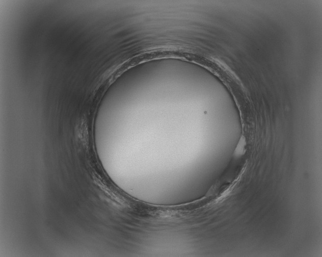 X0000073450969200608181234