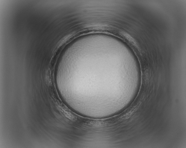 X0000073450970200608181234