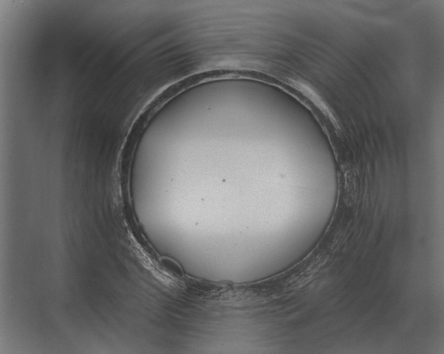 X0000073450972200608181234