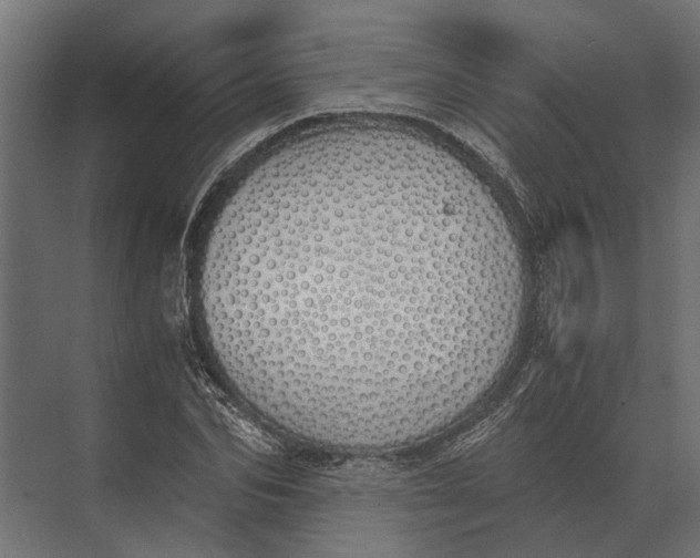 X0000073450974200608181234