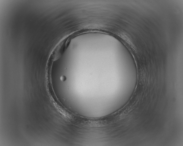 X0000073450976200608181234