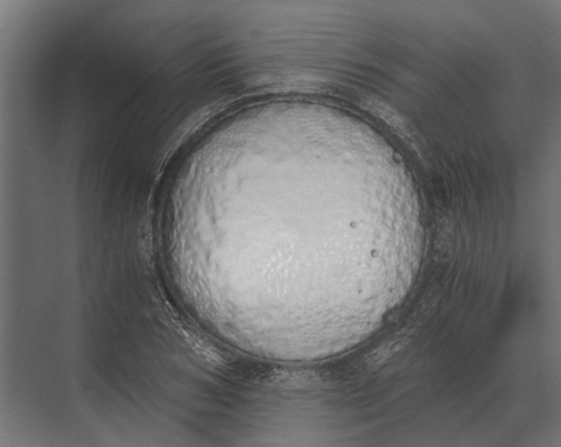 X0000073450978200608181234