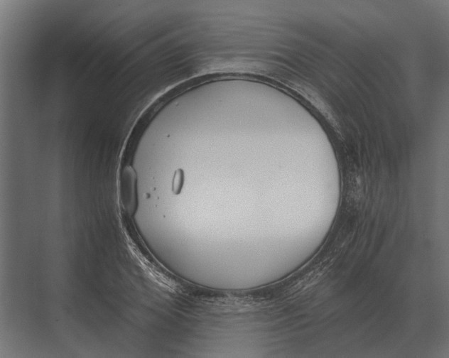 X0000073450980200608181234