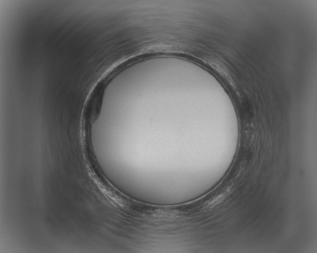 X0000073450981200608181234