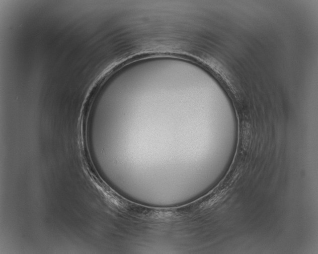 X0000073450982200608181234