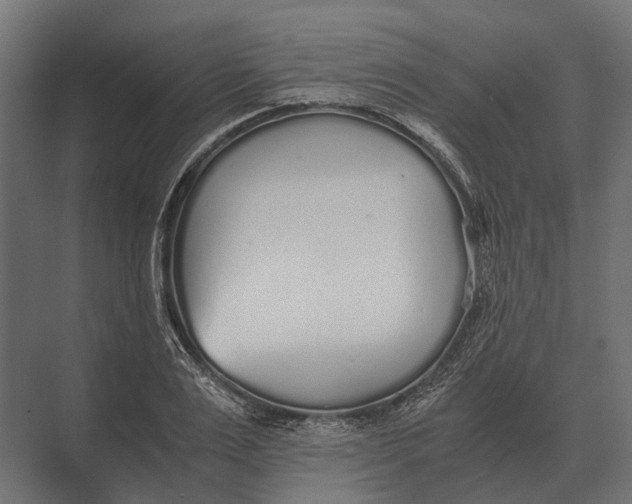 X0000073450983200608181234