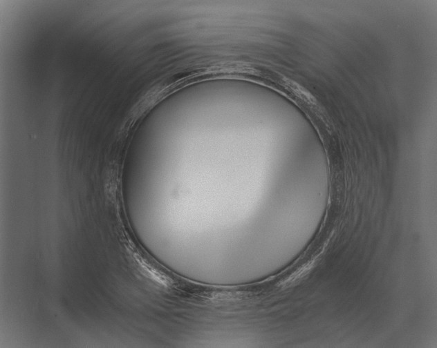 X0000073450985200608181234