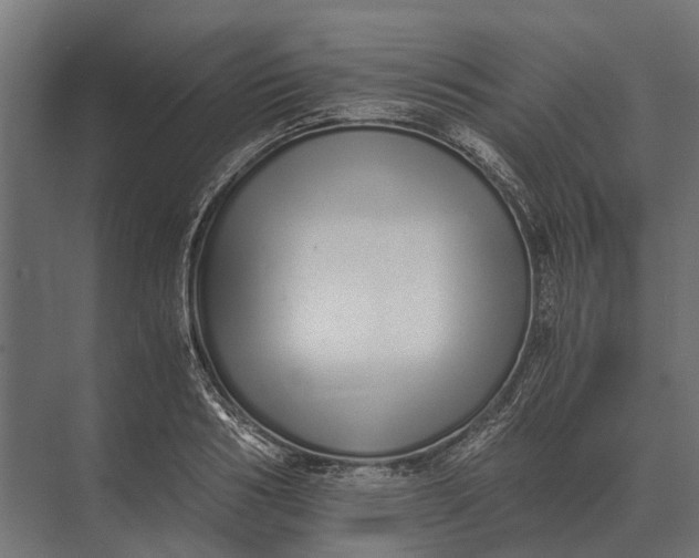 X0000073450986200608181234