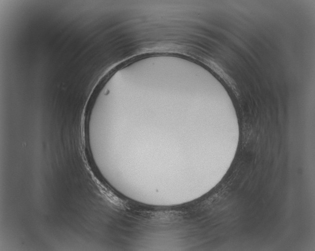 X0000073450988200608181234