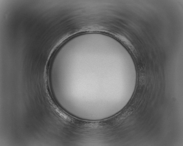 X0000073450990200608181234