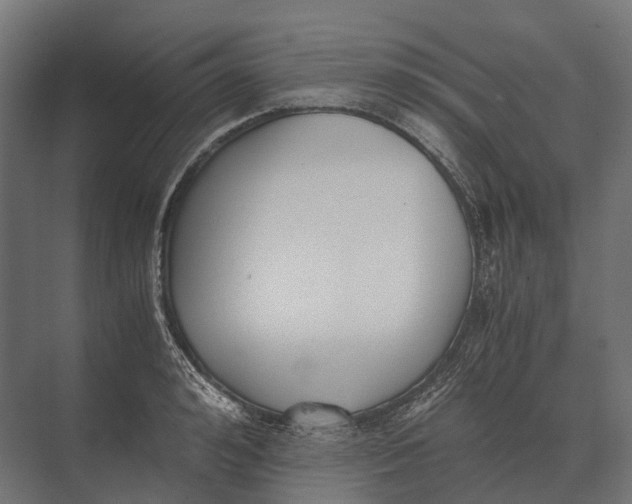 X0000073450992200608181234