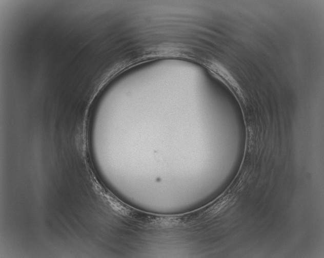 X0000073450994200608181234