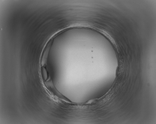 X0000073450996200608181234