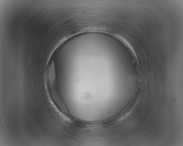 X0000073450997200608181234