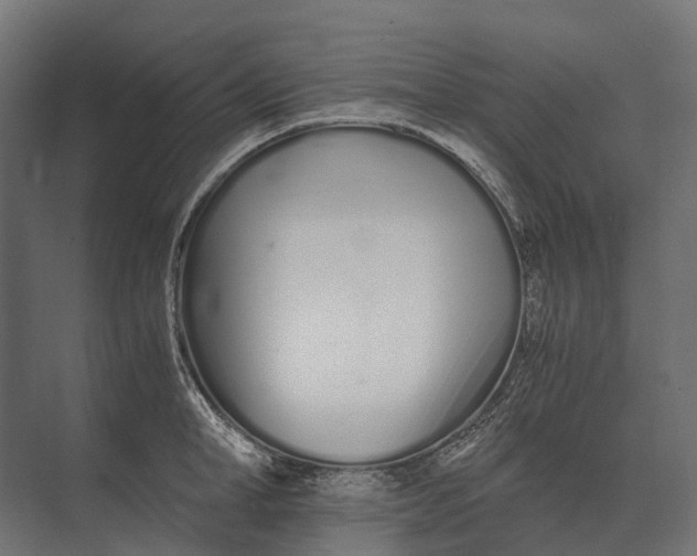 X0000073450998200608181234