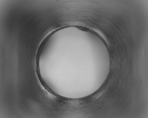 X0000073450999200608181234