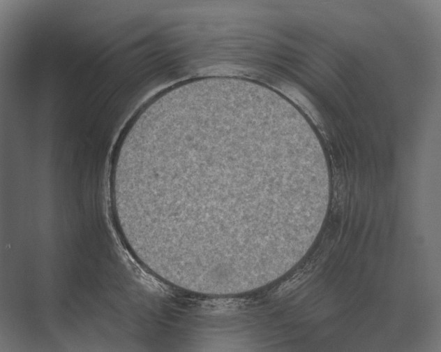 X0000073451000200608181234